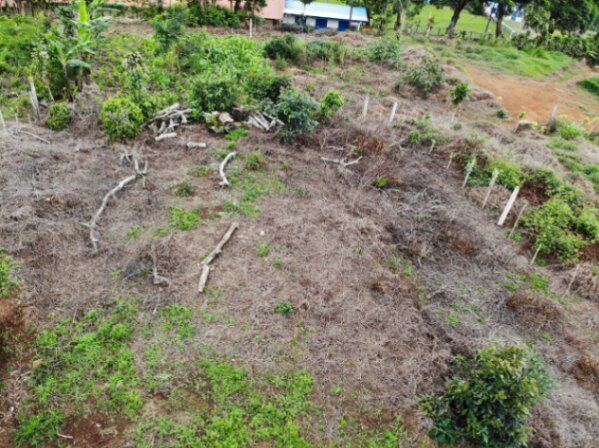 Lote en Carrizal León Cortés, Zona de Los Santos in San Pablo, León Cortés Castro, San José — ₡ 14 000 000