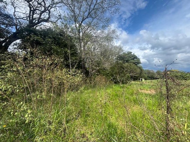 Uno de los dos ultimos lotes en residencial Roca Verde en Atenas in Atenas, Alajuela — $180,000 - Photo 3 of 6