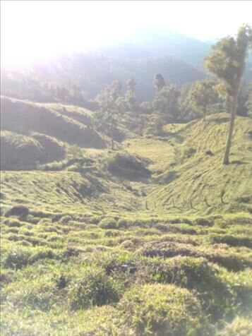 Finca Ganadera en venta  en Páramo, Pérez Zeledón, San José — ₡ 350 000 000