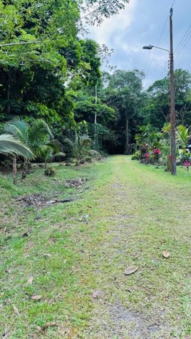 🌿 Terreno a la venta en Guápiles en Guápiles, Pococí, Limón — ₡ 20 000 000 - Foto 3 de 9