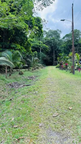 🌿 Land for sale in Guápiles in Guápiles, Pococí, Limón — ₡ 20 000 000 - Photo 3 of 9