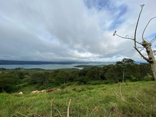 Se vende terreno para desarrollar al lado del Volcán Arenal (AD) en Tronadora, Tilarán, Guanacaste — $450,000 - Foto 3 de 20