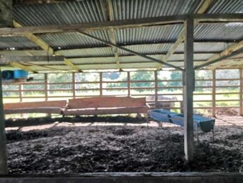 Se vende amplio lote de 180 hectáreas en Paso Real 23-1716 en Pocosol, San Carlos, Alajuela — $1,800,000 - Foto 5 de 22