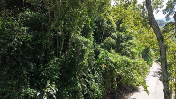 VENTA DE LOTE RESIDENCIAL Y TURISTICO DE 3.892 M2 EN SAN FRANCISCO DE RIVAS, PEREZ ZELEDON in Rivas, Pérez Zeledón, San José — $95,000