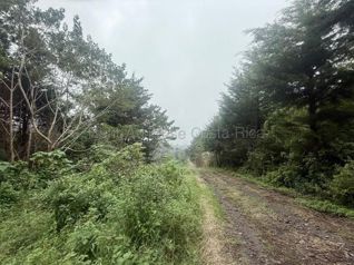 Venta de Terreno en Calle Montaña Tranquila, Santa Bárbara de Heredia. RAH 27-697