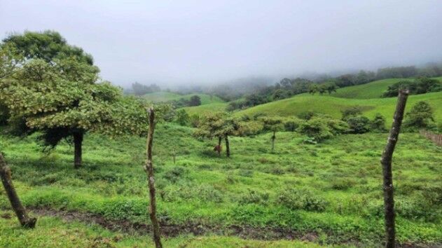 Venta de Lote en Vásquez Coronado-Dulce Nombres. en Dulce Nombre de Jesús, Vázquez de Coronado, San José — $120,000