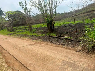 Lot for sale in San Ramón: Tranquility, privacy and excellent location in Piedades Sur, San Ramón, Alajuela — 120 000 000 ₡ - Photo 5 of 6