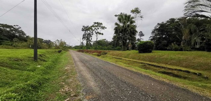 Venta de Lote en Guácimo-Limón. RAH 27-81 en Guácimo, Limón — ₡ 50 000 000 - Foto 2 de 17