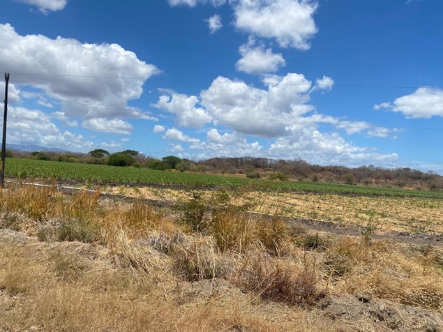 Finca de 136 Ha con riego en Bagaces en Bagaces, Guanacaste — $1,500,000 - Foto 3 de 7