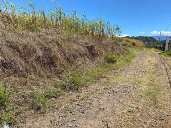 Venta de Lote de Terreno en Grecia, Alajuela / Mls. 24-121 OFC JB en Tacares, Grecia, Alajuela — $733,380