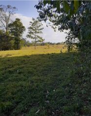 se vende bella finca 56 manzanas infor.al telef.85683261 in El Amparo, Los Chiles, Alajuela — $550,000 - Photo 4 of 5