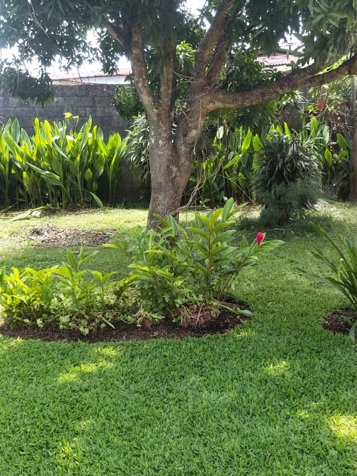 Terreno con Potencial Comercial y Residencial en San Rafael de Heredia en San Josecito, San Rafael, Heredia — ₡ 250 000 000 - Foto 3 de 12