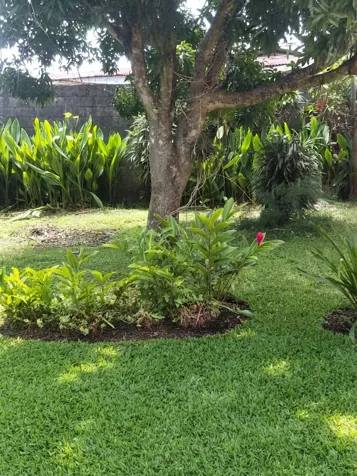 Terreno con Potencial Comercial y Residencial en San Rafael de Heredia en San Josecito, San Rafael, Heredia — ₡ 250 000 000 - Foto 3 de 12