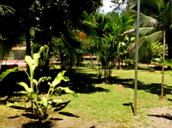 BELLÍSIMA PROPIEDAD CON 3 CASAS EN CAHUITA, LIMÓN.  en Cahuita, Talamanca, Limón — ₡ 180 000 000