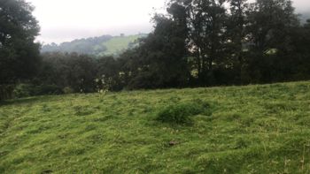Las Pavas farm, Llano Grande de Cartago in Llano Grande, Cartago — 250 000 000 ₡ - Photo 4 of 9