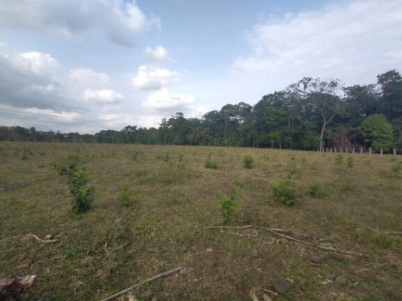 MLS-25-1083 VENTA LOTE FLORENCIA SAN CARLOS en Florencia, San Carlos, Alajuela — ₡ 175 000 000