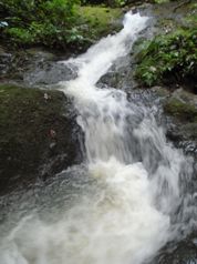 Espectacular finca con cascada natural y vista al Volcán Arenal en Venecia, San Carlos, Alajuela — $448,600 - Foto 4 de 10
