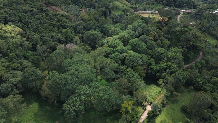 VENTA DE LOTE RESIDENCIAL Y TURISTICO EN SAN FRANCISCO DE RIVAS, PEREZ ZELEDON en Rivas, Pérez Zeledón, San José — $160,000