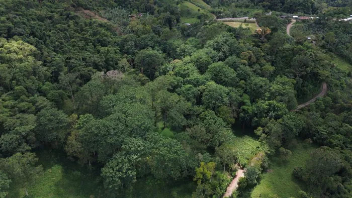 VENTA DE LOTE RESIDENCIAL Y TURISTICO EN SAN FRANCISCO DE RIVAS, PEREZ ZELEDON en Rivas, Pérez Zeledón, San José — $160,000 - Foto 3 de 10