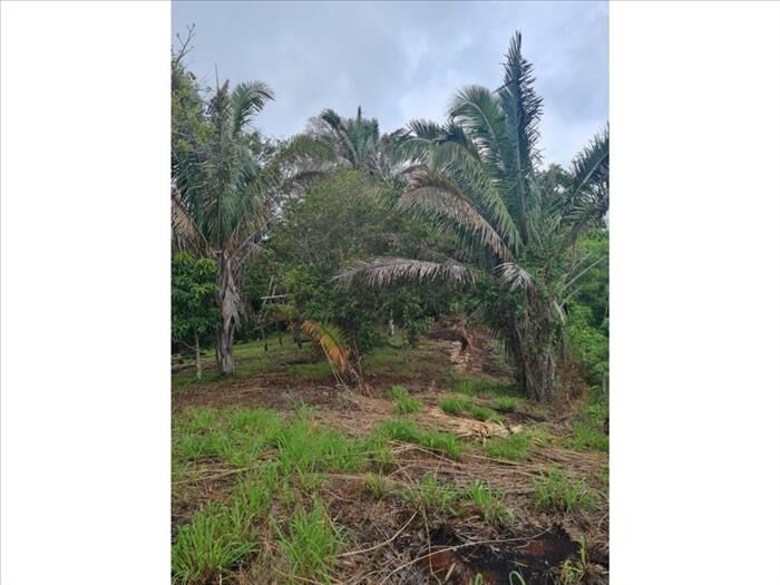 VENTA DE FINCA, GUANACASTE, SANTA CRUZ, RETALLANO in Santa Cruz, Guanacaste — $575,000
