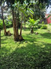 Terreno con Potencial Comercial y Residencial en San Rafael de Heredia en San Josecito, San Rafael, Heredia — 250 000 000 ₡ - Foto 4 de 12