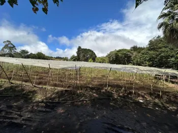 Terreno en San Isidro de Heredia, cerca de ruta 32,  18,406 mtrs2