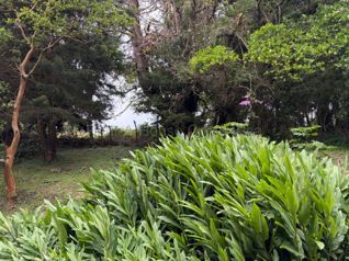 Venta de Maravilloso Lote de Terreno en San Isidro de Heredia / Mls. 26-1838 OFC JB in Concepción, San Isidro, Heredia — $1,850,000 - Photo 4 of 7