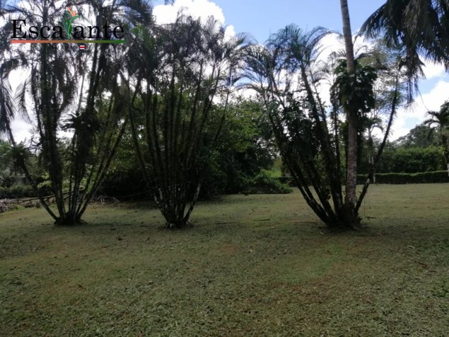 Venta de Lote en Chachagua San Ramon, San Carlos en San Ramón, Alajuela — ₡ 60 000 000 - Foto 3 de 15