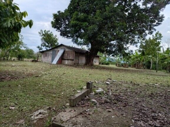LOTE EN VENTA CON ACCESO A RIO SIERPE POR AUTOMOVIL O BOTE en Sierpe, Osa, Puntarenas — $80,000