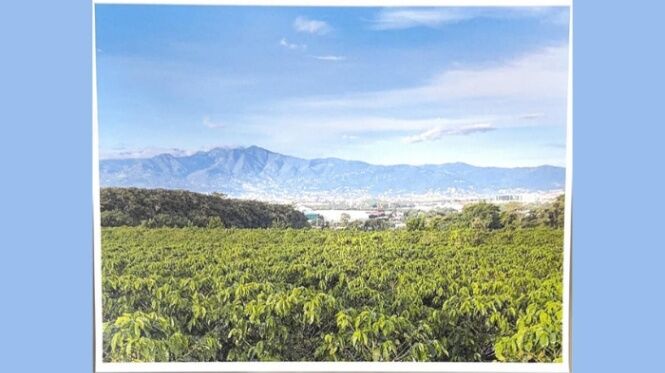 MLS-26-1401 VENTA FINCA SAN PABLO HEREDIA en San Pablo, Heredia — $7,500,000