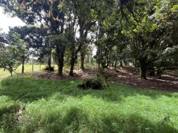 Venta de Lote en Dota, San José. RAH 25-1964 en Jardín, Dota, San José — 16 500 000 ₡ - Foto 5 de 10