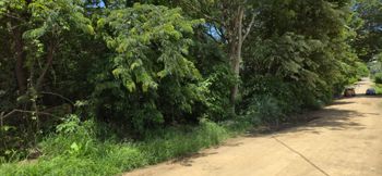 Lote en Venta, Playa Hermosa, Guanacaste. Playa muy Cerca 5PDN9280176 in Sardinal, Carrillo, Guanacaste — $1,007,000 - Photo 2 of 20