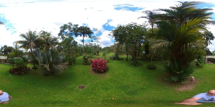 Venta de Propiedad en La Tigra de San Carlos in Pital, San Carlos, Alajuela — ₡ 140 000 000 - Photo 3 of 20