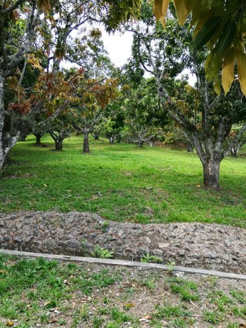 Se Vende Finca 31801 m2, Santa Ana in Uruca, Santa Ana, San José — $1,115,000 - Photo 3 of 8