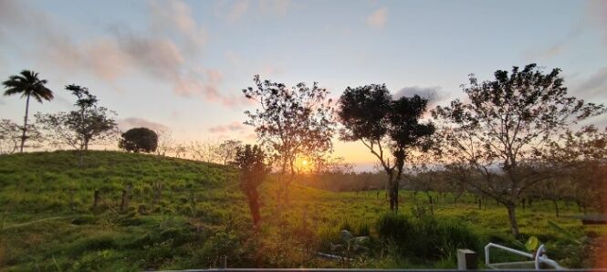 FINCA GANADERA EN GUATUSO-KATIRA  en Katira, Guatuso, Alajuela — ₡ 275 000 000