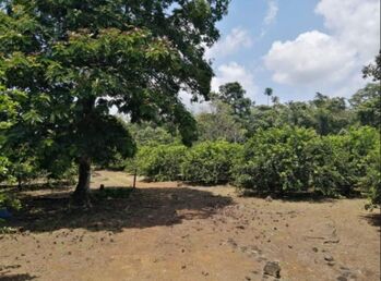 Farm For Sale Puerto Viejo, Sarapiquí, Heredia