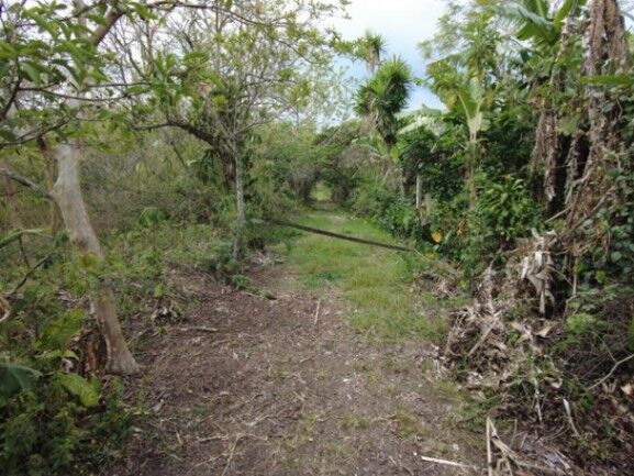 Se vende amplio lote de 6,800m2 en San Luis de Heredia 23-3201 en Santo Domingo, Heredia — $660,550