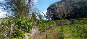 Lote en Concepcion de San Rafael, 1,741 mtrs2 en Concepción, San Rafael, Heredia — 113 500 000 ₡ - Foto 5 de 7