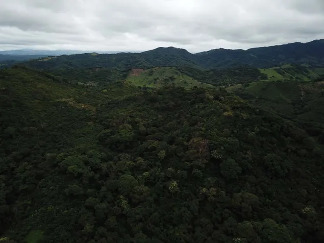 VENTA TERRENO (FINCA) DE USO AGRICOLA, GUANACASTE, CAÑAS en Cañas, Guanacaste — $2,900,000