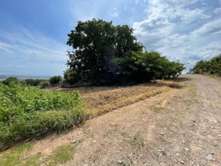 VENTA DE LOTE DE 600 M² | SAN MIGUEL DE BARRANCA, PUNTARENAS en Barranca, Puntarenas — $60,000 - Foto 3 de 8