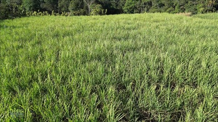 BEAUTIFUL LOT FOR SALE IN THE HEART OF BRISAS DE CAJON in Cajón, Pérez Zeledón, San José — $140,000