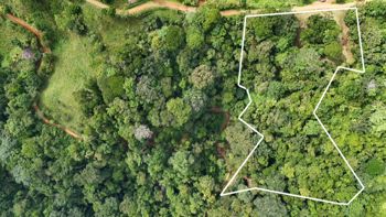 SE VENDE TERRENO CON CATARATA PRIVADA, BOSQUE Y VISTAS A LA MONTAÑA EN TIERRAS MORENAS DE SAVEGRE in Savegre, Quepos, Puntarenas — $97,000 - Photo 4 of 18