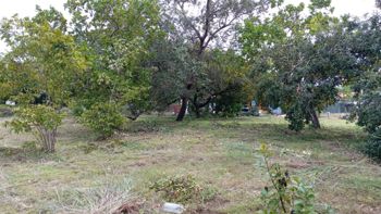 Venta Terreno Comercial Cañas Dulces Liberia Guanacaste en Cañas Dulces, Liberia, Guanacaste — $215,000 - Foto 2 de 14