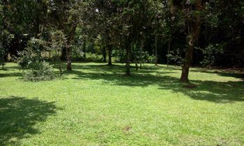 Se venta finca con casa en Anita Grande, Jiménez, Pococí (Guápiles), Limón in Jiménez, Pococí, Limón — 60 000 000 ₡ - Photo 5 of 14