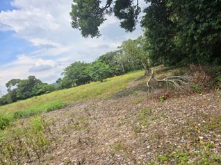 Lote en venta en Santo Domingo. Uso mixto - desarrollar. 5PVV9634224 en San Miguel, Santo Domingo, Heredia — $3,877,358 - Foto 3 de 15
