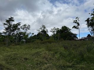 Lote San Ramón de Tres Ríos [Uso de suelo mixto] in Tres Ríos, La Unión, Cartago — $290,000 - Photo 3 of 5