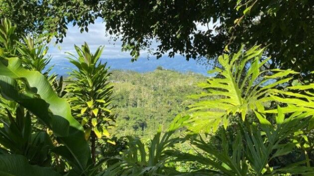 Venta de Lote con Cabaña en Turrialba, Cartago. RAH 25-1184 in Peralta, Turrialba, Cartago — $350,000