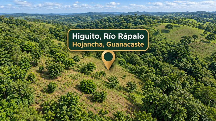 Oportunidad en Hojancha Guanacaste  Lote de 2,030 m² en Huacas, Hojancha, Guanacaste — ₡ 22 000 000