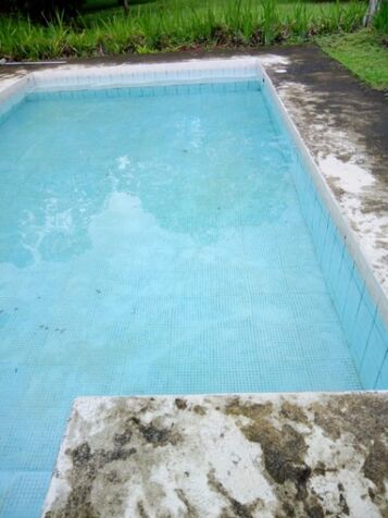se vende linda quinta en valle azul inform.85683261 in Peñas Blancas, San Ramón, Alajuela — ₡ 85 000 000