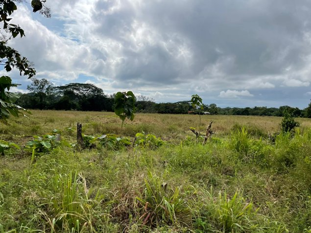 VENTA DE FINCA, PUNTARENAS, PARRITA, EL PLAYON en Parrita, Puntarenas — $180,000